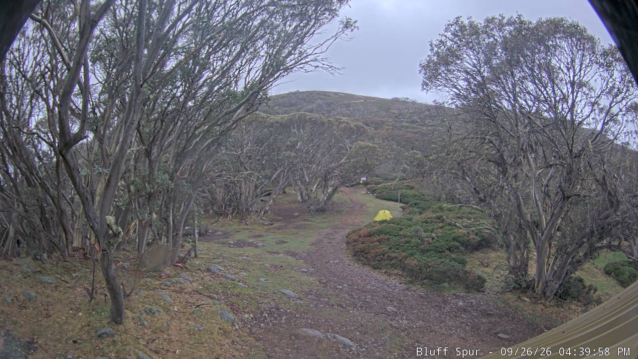 Mt Stirling Bluff Spur snow cam captured at 26 September 2026 at 4:43 pm AEST