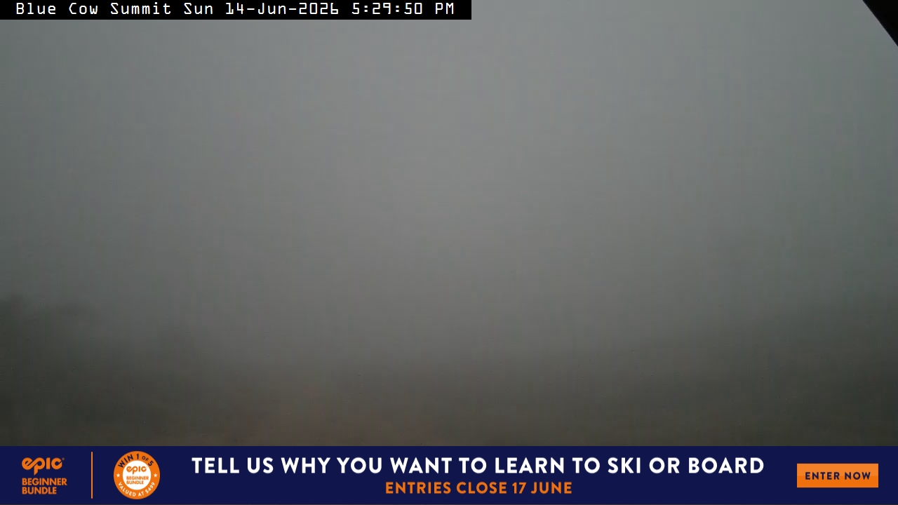 Perisher Blue Cow Summit snow cam captured at 14 June 2026 at 5:32 pm AEST