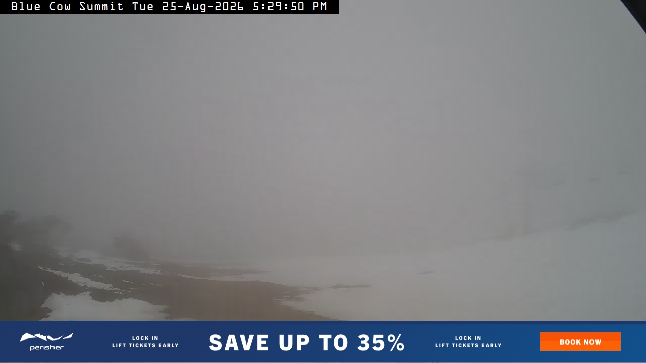 Perisher Blue Cow Summit snow cam captured at 25 August 2026 at 5:39 pm AEST