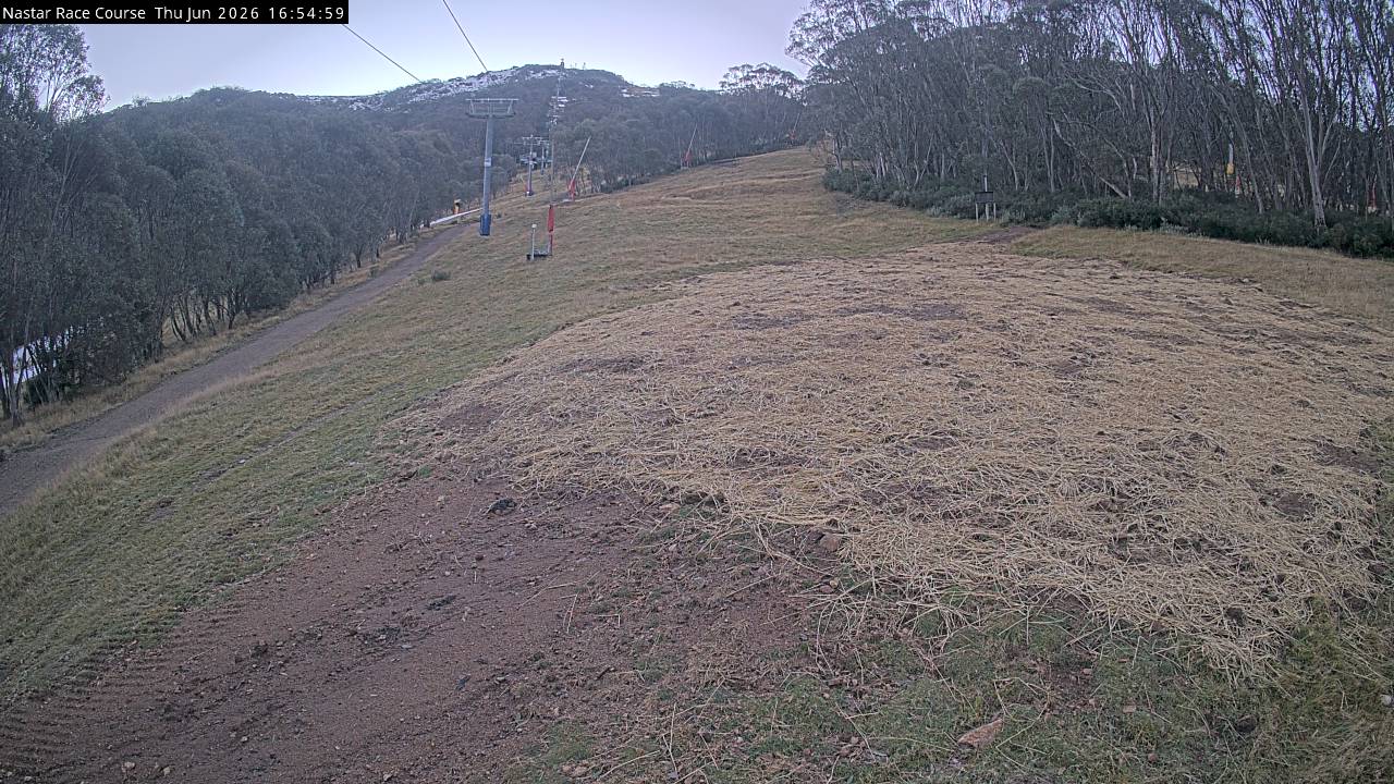 Thredbo Mid-Mountain snow cam captured at 11 June 2026 at 4:56 pm AEST