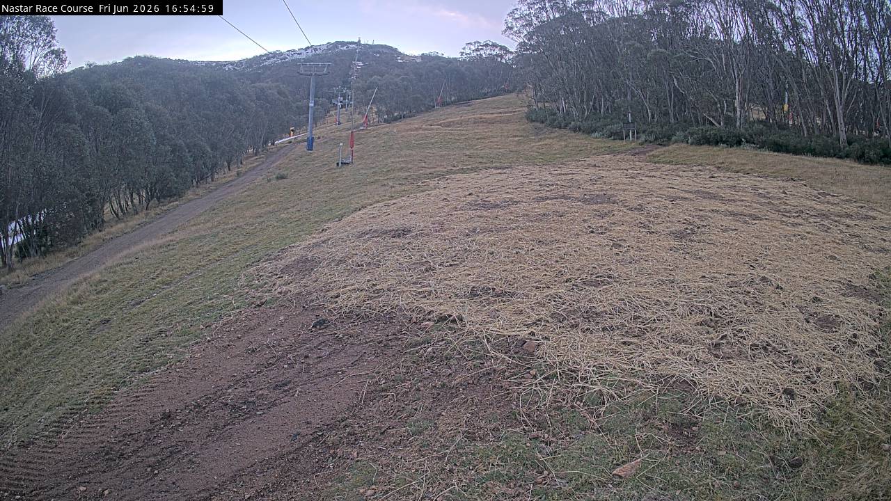 Thredbo Mid-Mountain snow cam captured at 12 June 2026 at 4:56 pm AEST