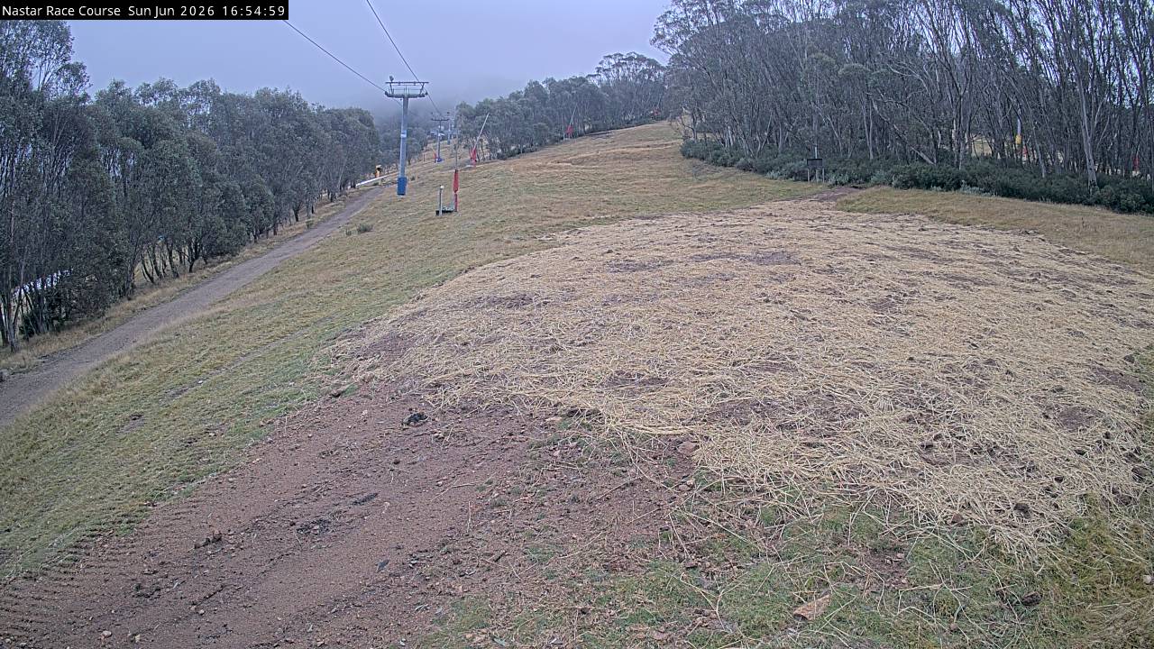 Thredbo Mid-Mountain snow cam captured at 14 June 2026 at 4:56 pm AEST