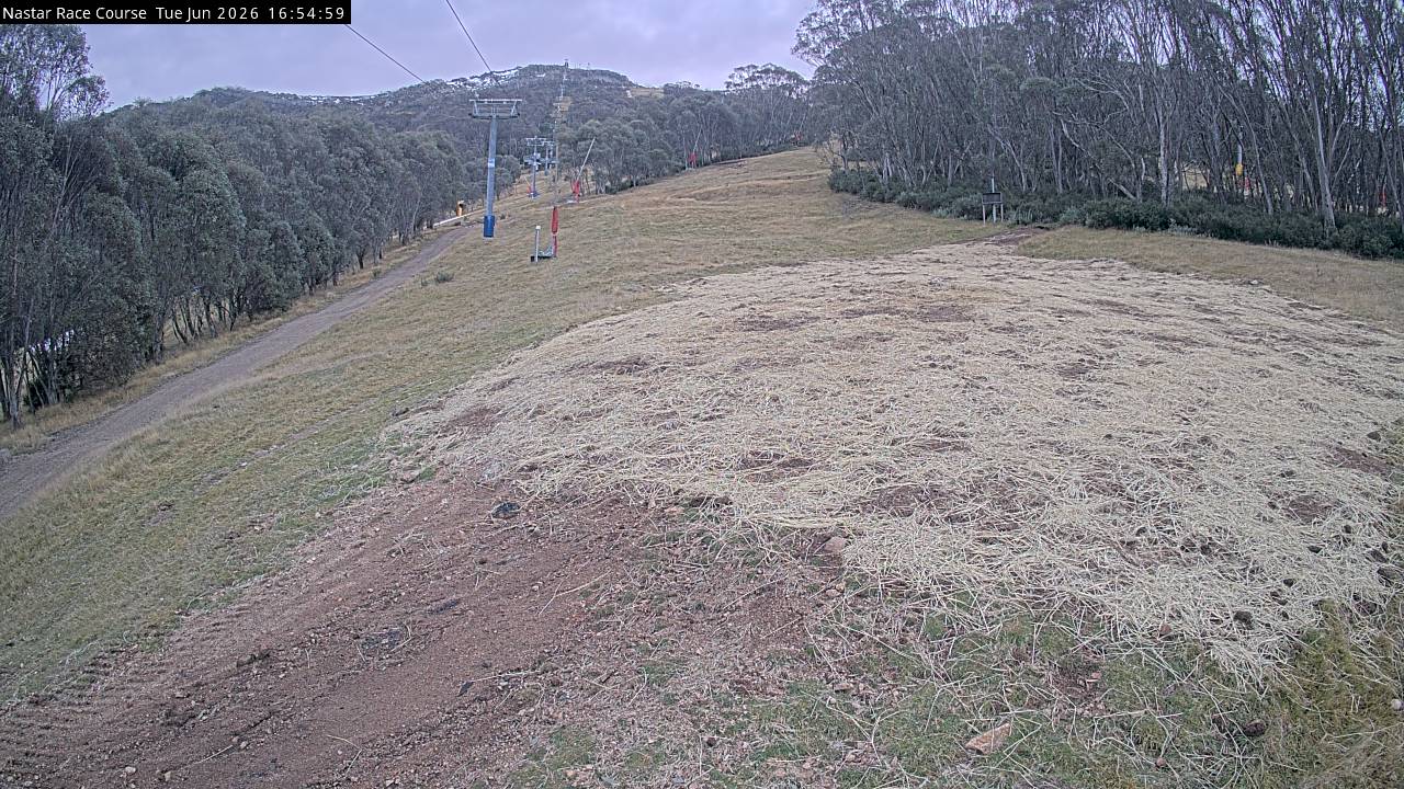 Thredbo Mid-Mountain snow cam captured at 16 June 2026 at 4:58 pm AEST