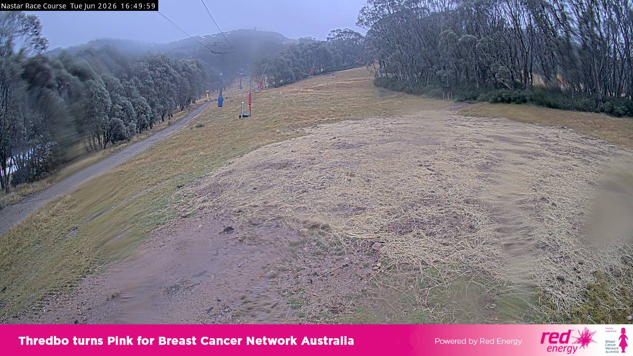 Thredbo Mid-Mountain snow cam captured at 30 June 2026 at 4:53 pm AEST