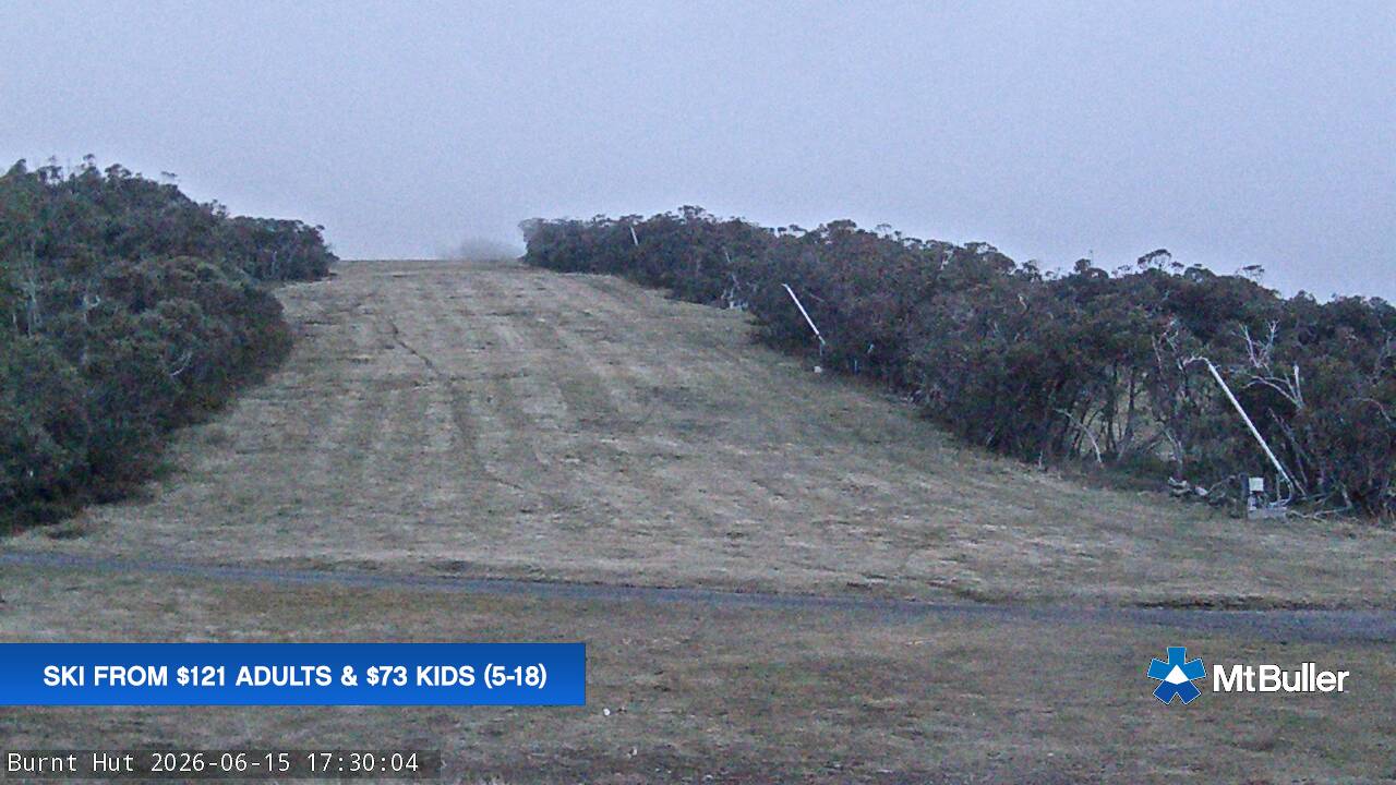 Mt Buller Burnt Hut snow cam captured at 15 June 2026 at 5:31 pm AEST