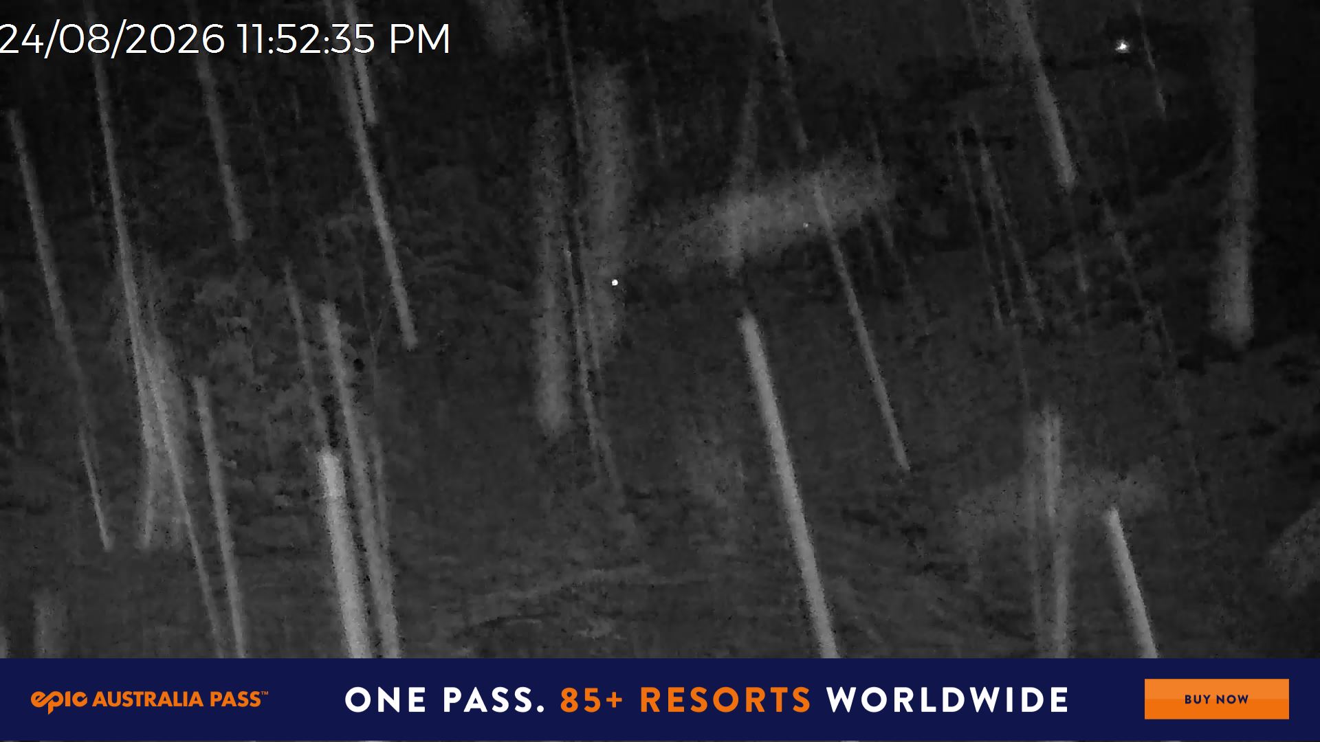 Mt Hotham Snake Gully snow cam captured at 24 August 2026 at 11:53 pm AEST
