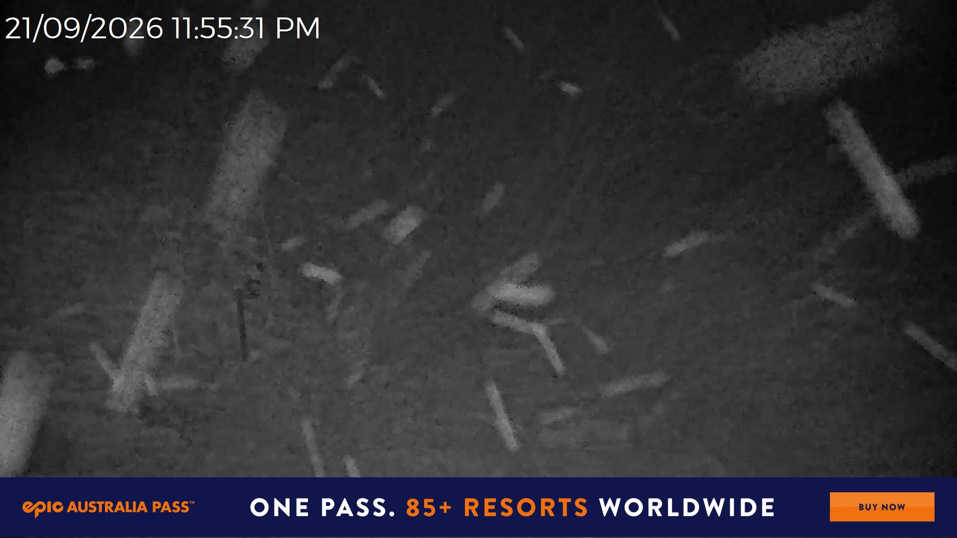 Mt Hotham Snake Gully snow cam captured at 21 September 2026 at 11:55 pm AEST