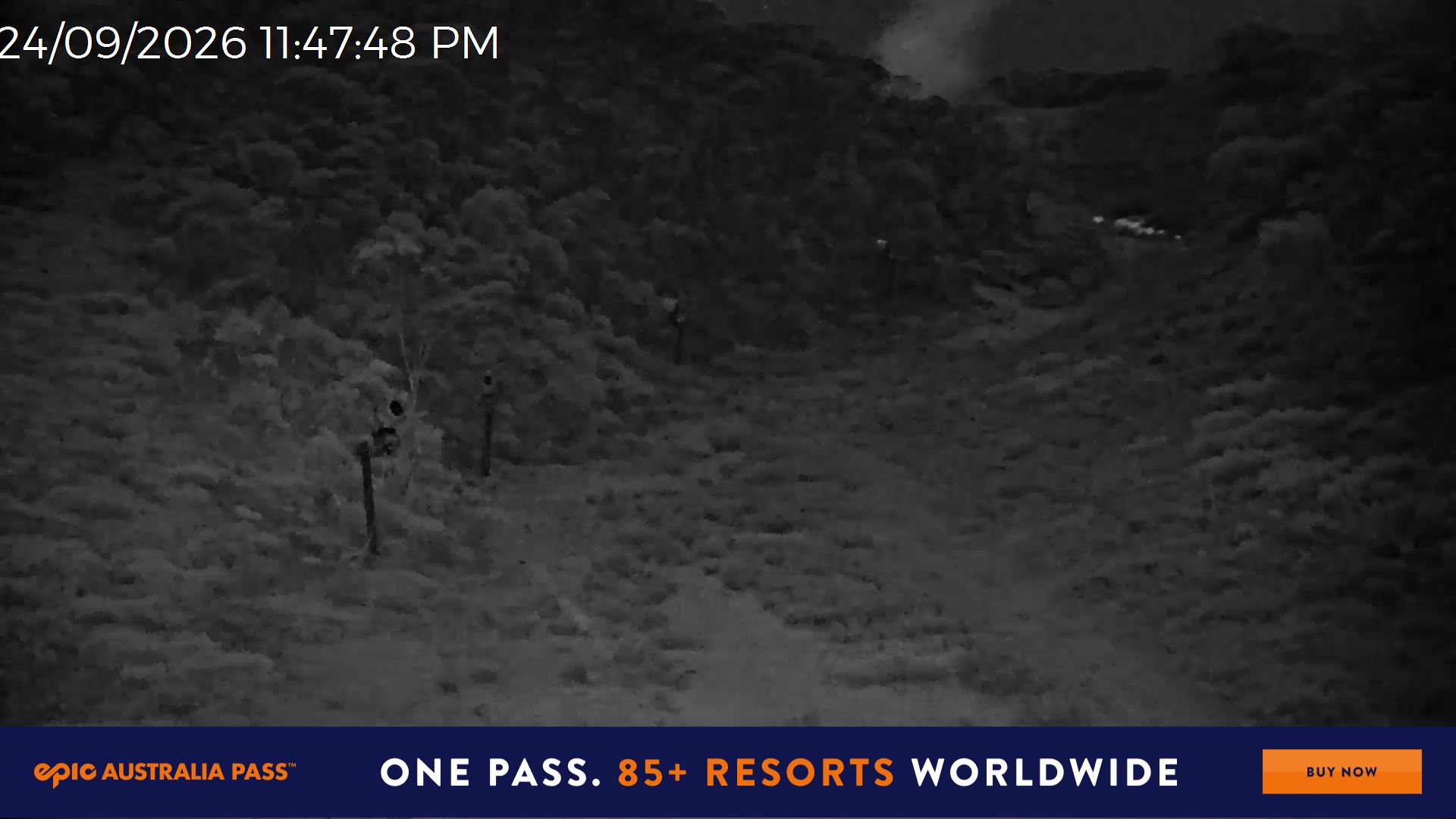 Mt Hotham Snake Gully snow cam captured at 24 September 2026 at 11:49 pm AEST