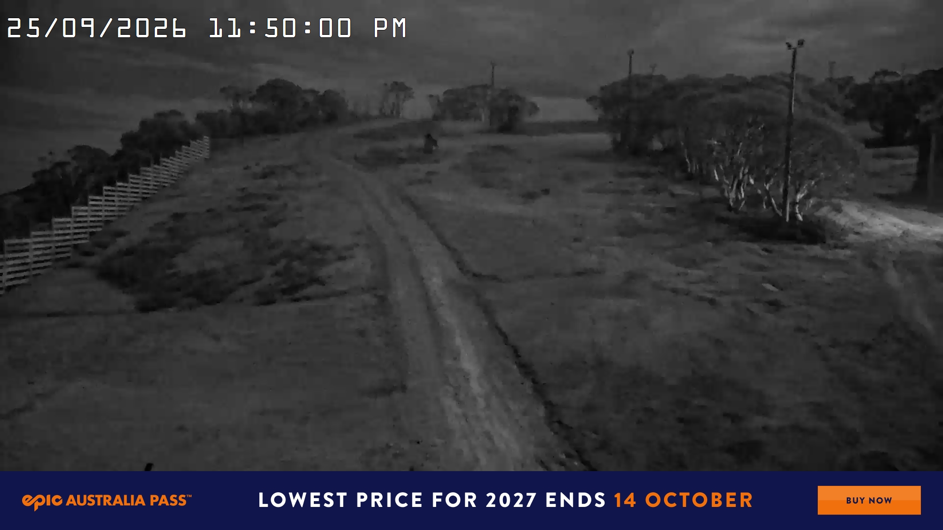 Mt Hotham Big D snow cam captured at 25 September 2026 at 11:50 pm AEST