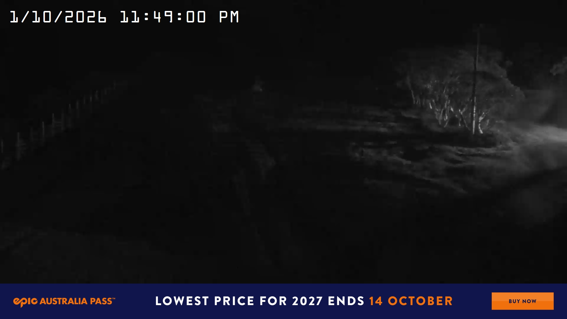Mt Hotham Big D snow cam captured at 1 October 2026 at 11:49 pm AEST