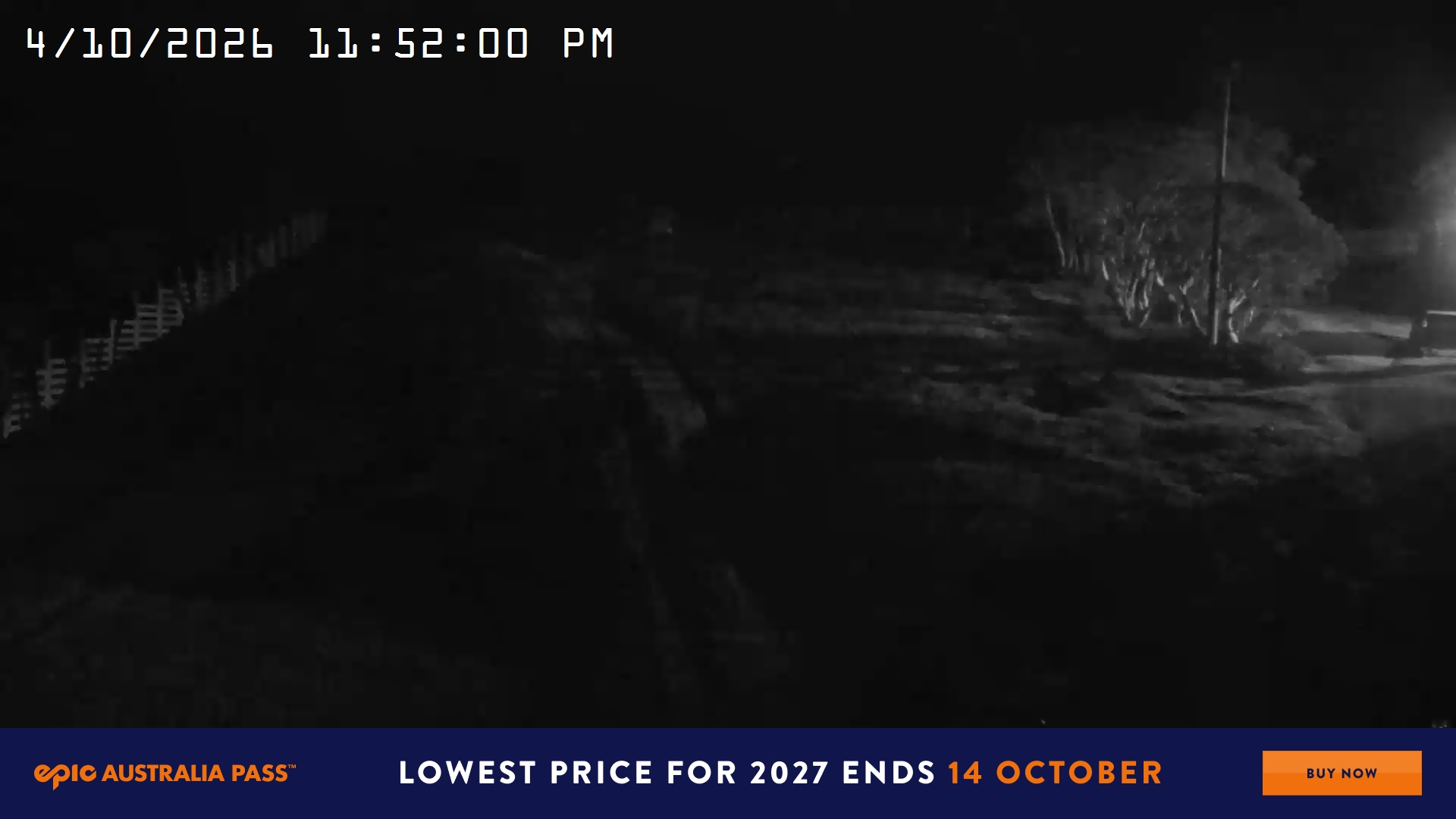Mt Hotham Big D snow cam captured at 4 October 2026 at 11:52 pm AEDT