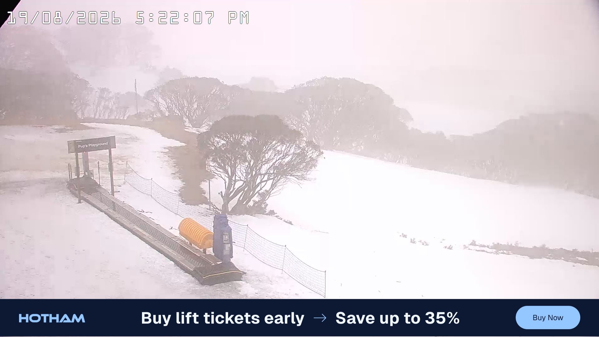 Mt Hotham Pup's and Sun Run snow cam captured at 19 August 2026 at 5:25 pm AEST