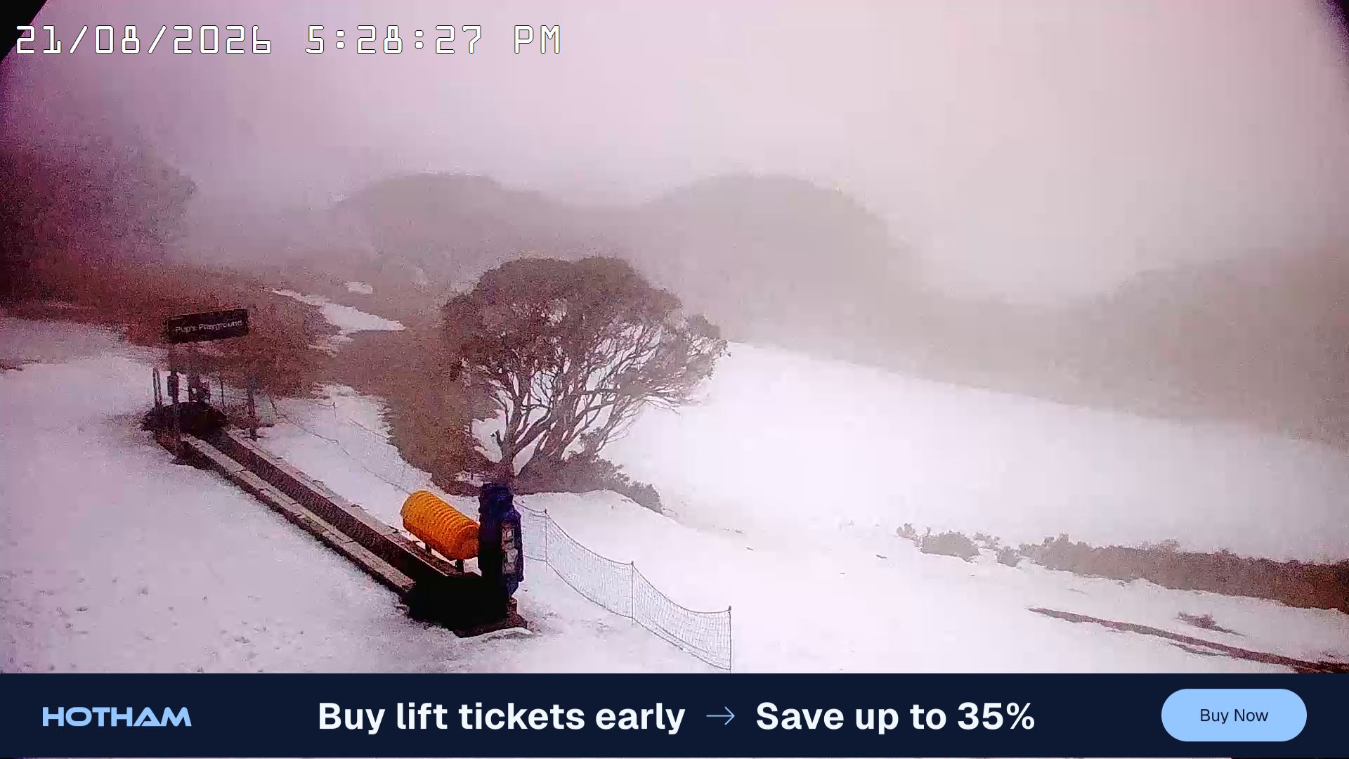 Mt Hotham Pup's and Sun Run snow cam captured at 21 August 2026 at 5:38 pm AEST