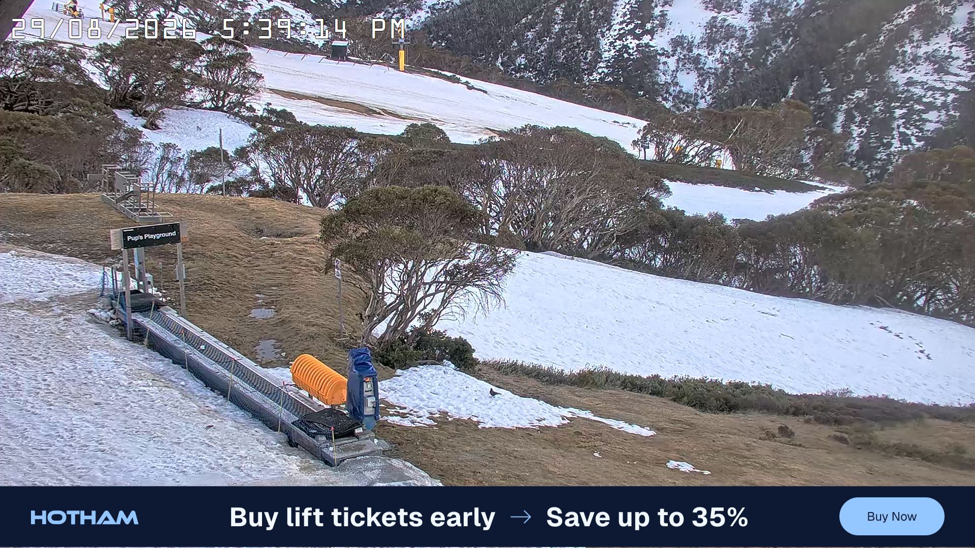 Mt Hotham Pup's and Sun Run snow cam captured at 29 August 2026 at 5:48 pm AEST