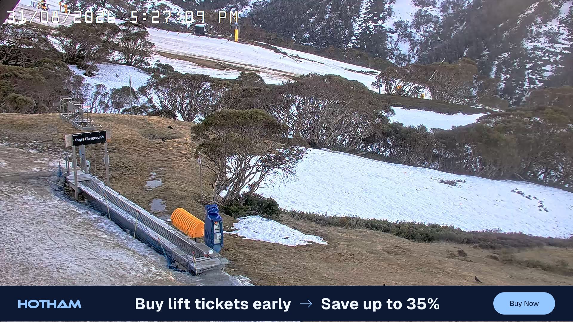 Mt Hotham Pup's and Sun Run snow cam captured at 31 August 2026 at 5:28 pm AEST