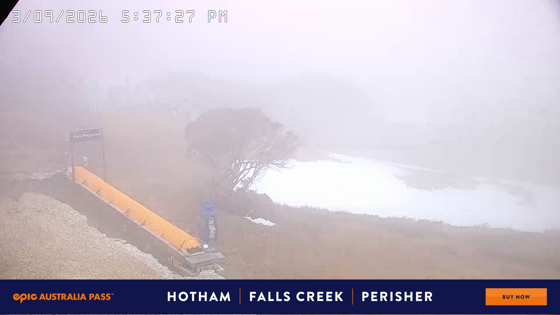 Mt Hotham Pup's and Sun Run snow cam captured at 3 September 2026 at 5:40 pm AEST