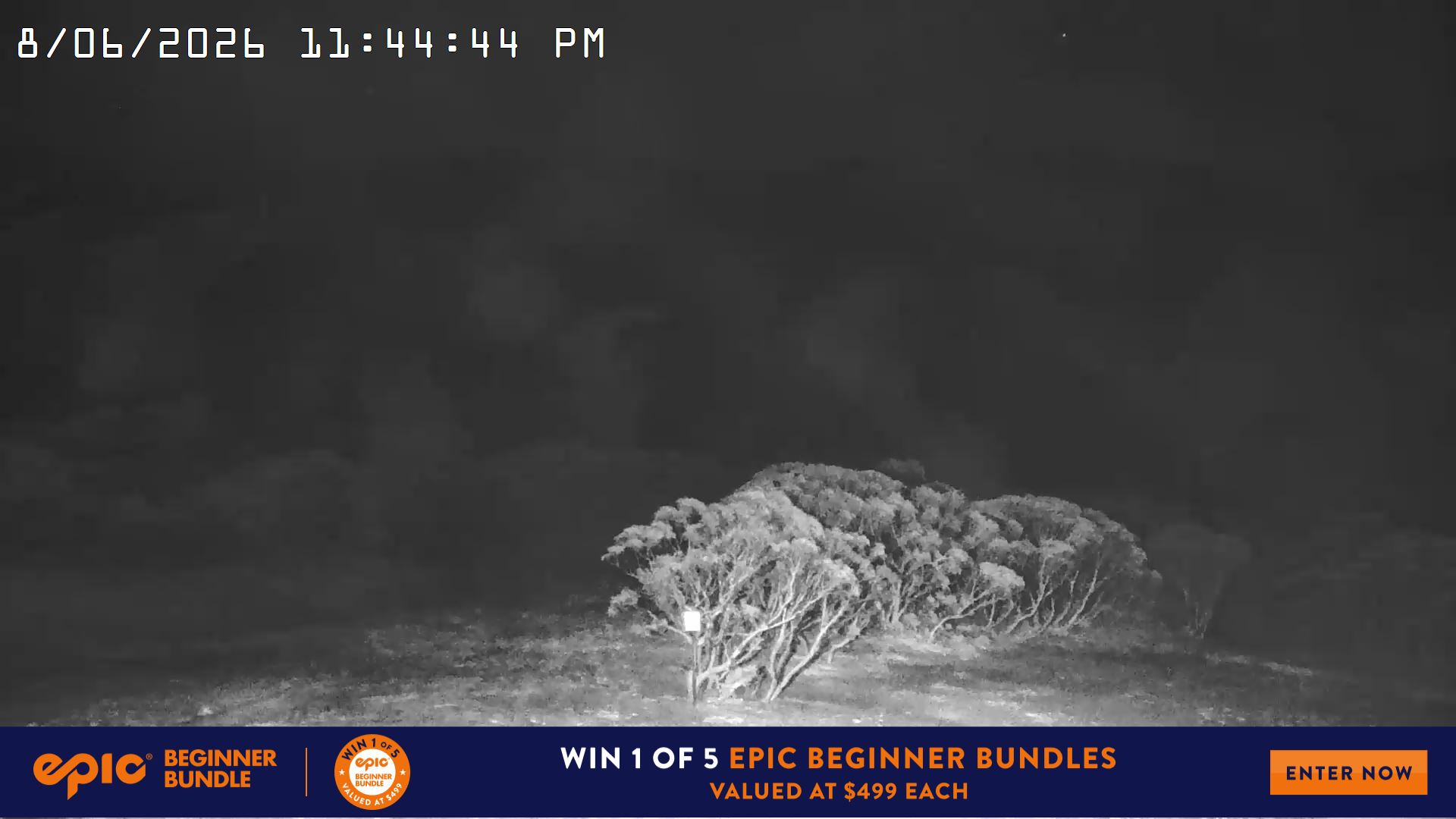 Mt Hotham Golden Point snow cam captured at 8 June 2026 at 11:46 pm AEST