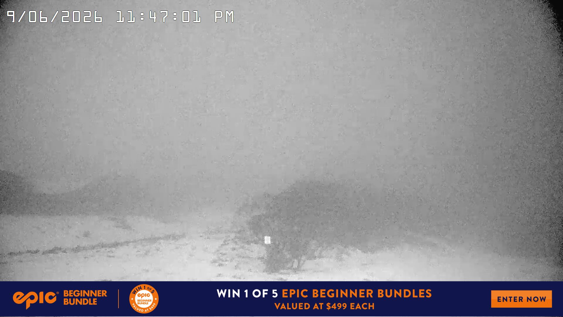 Mt Hotham Golden Point snow cam captured at 9 June 2026 at 11:52 pm AEST