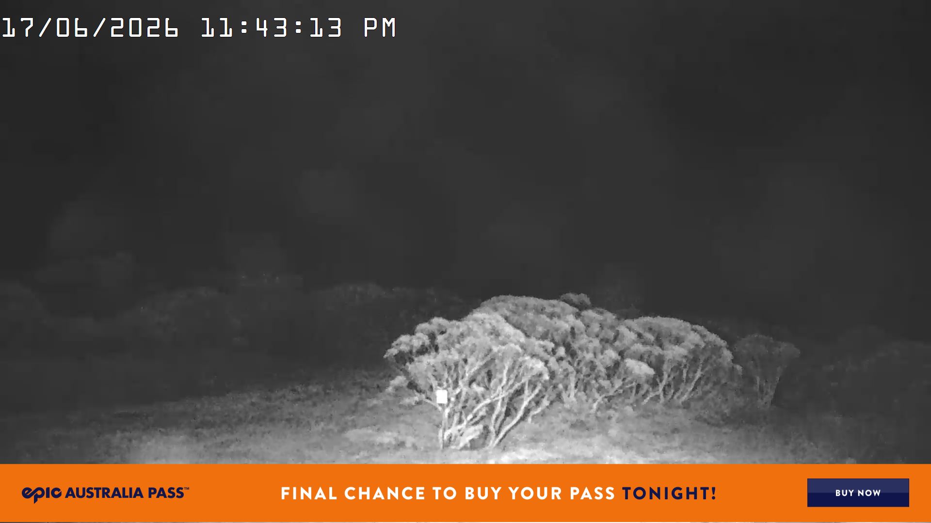 Mt Hotham Golden Point snow cam captured at 17 June 2026 at 11:48 pm AEST