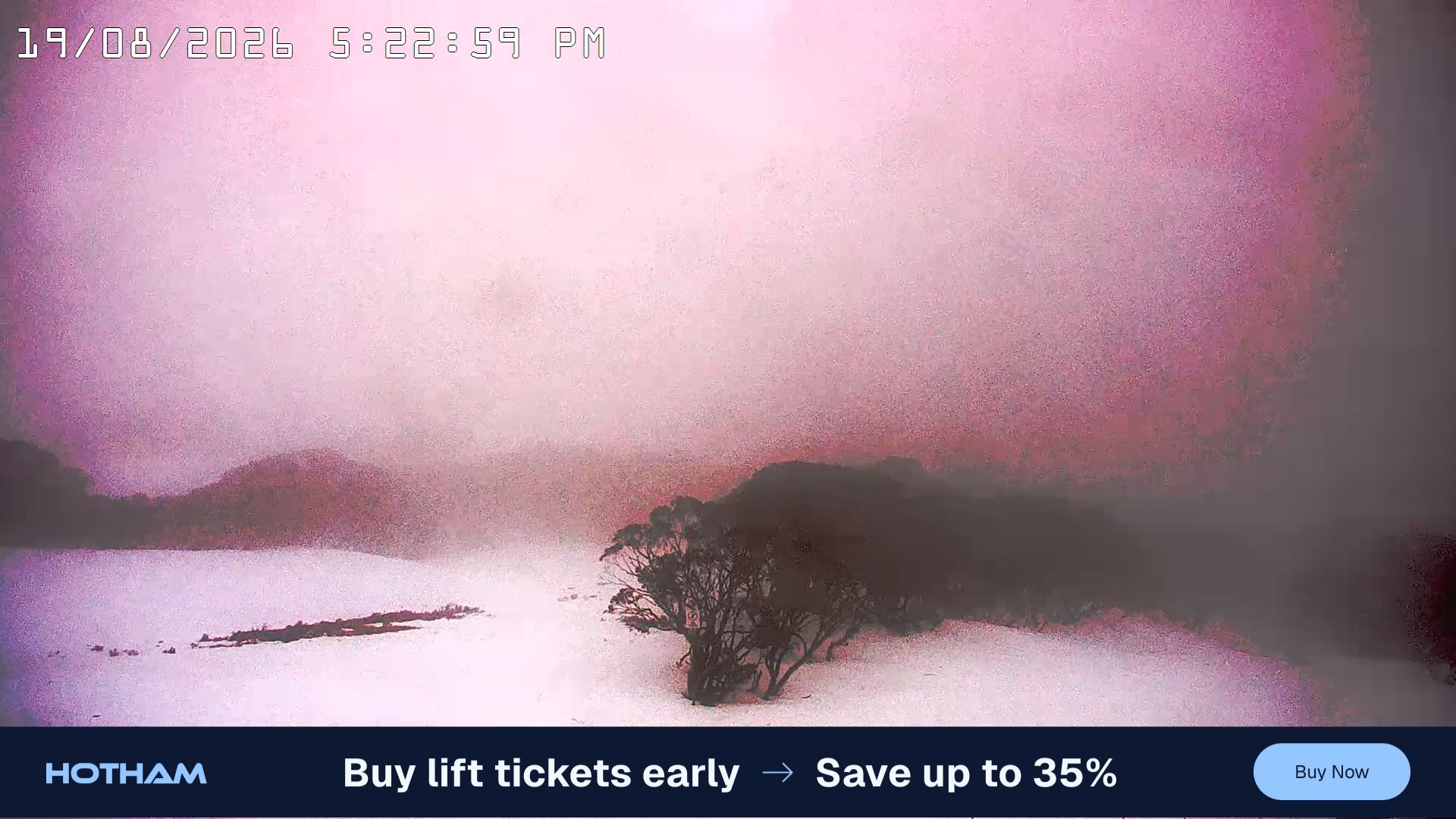 Mt Hotham Golden Point snow cam captured at 19 August 2026 at 5:31 pm AEST