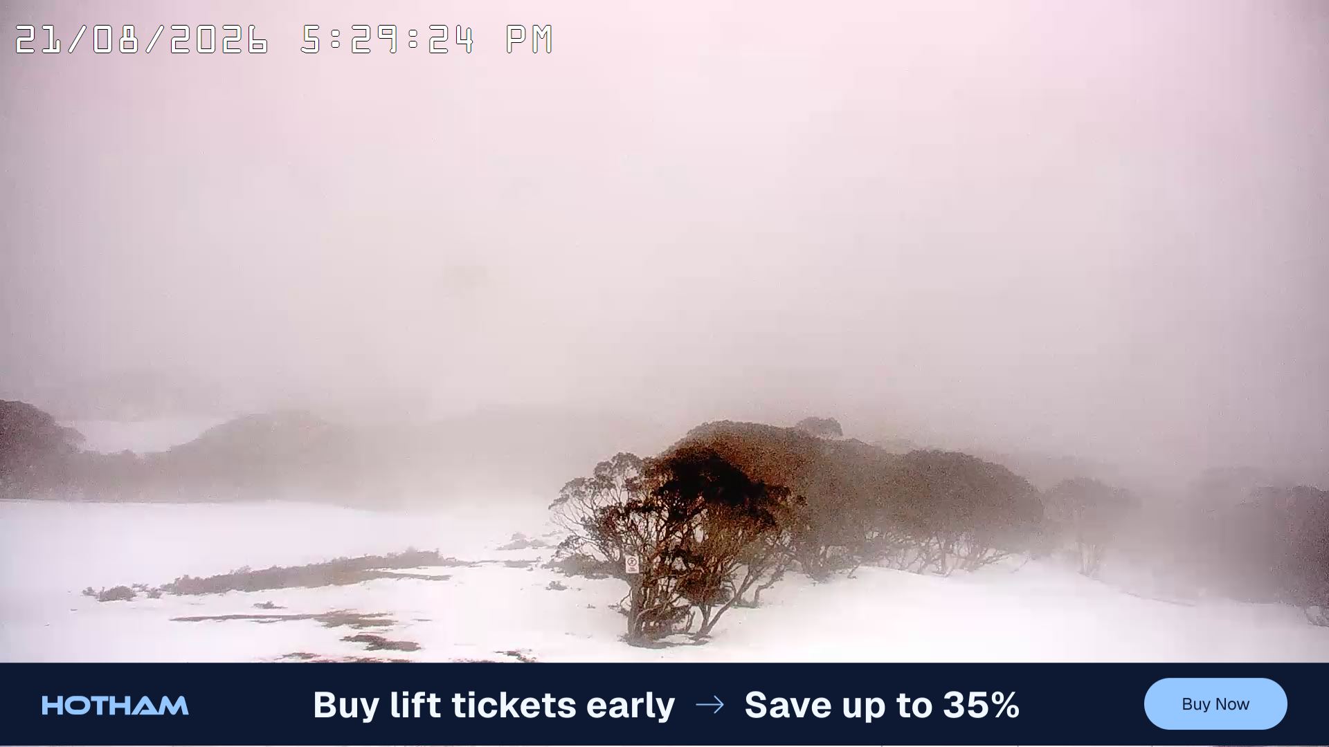 Mt Hotham Golden Point snow cam captured at 21 August 2026 at 5:33 pm AEST