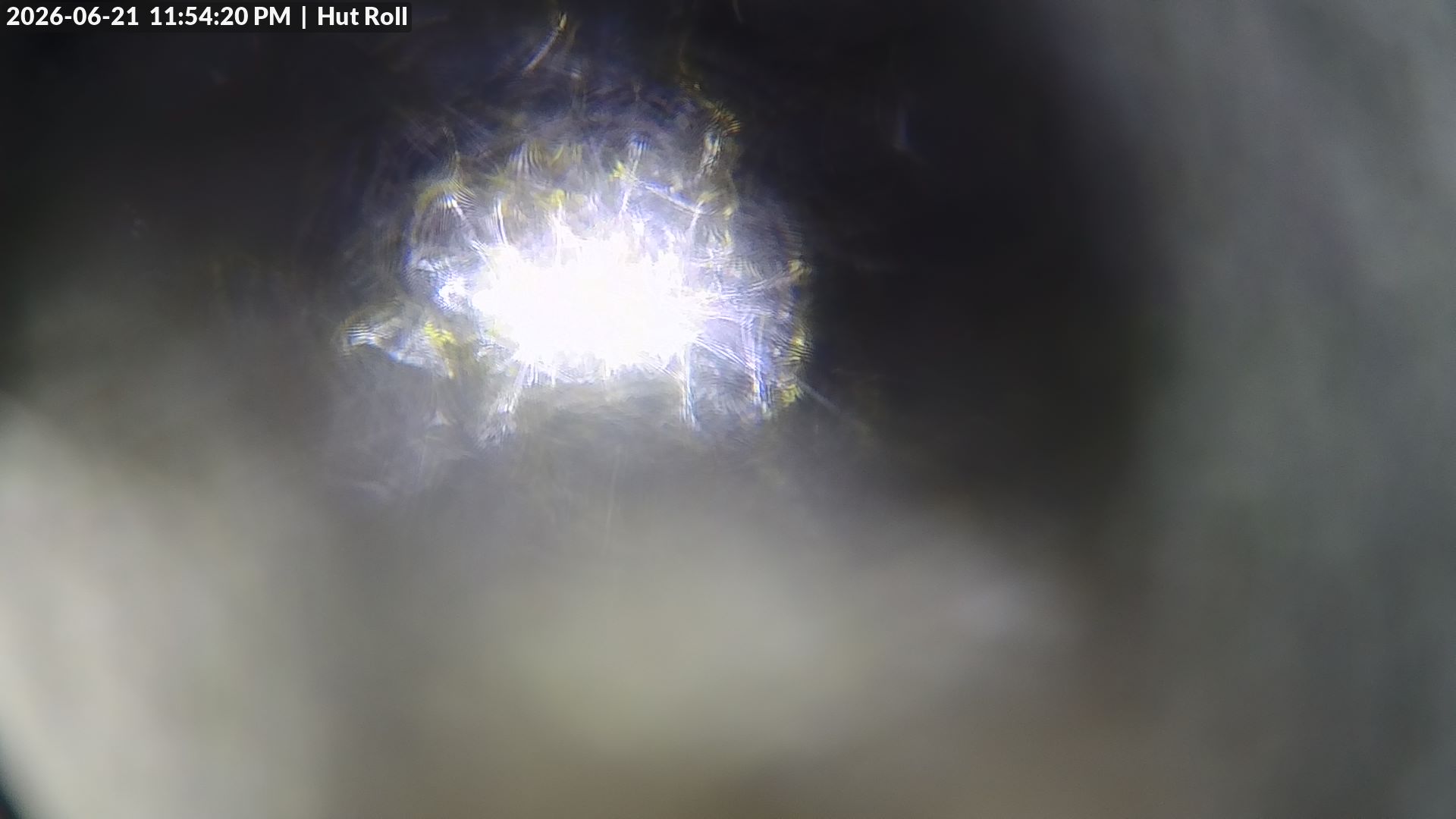 Mt Baw Baw Hut Roll snow cam captured at 21 June 2026 at 11:58 pm AEST