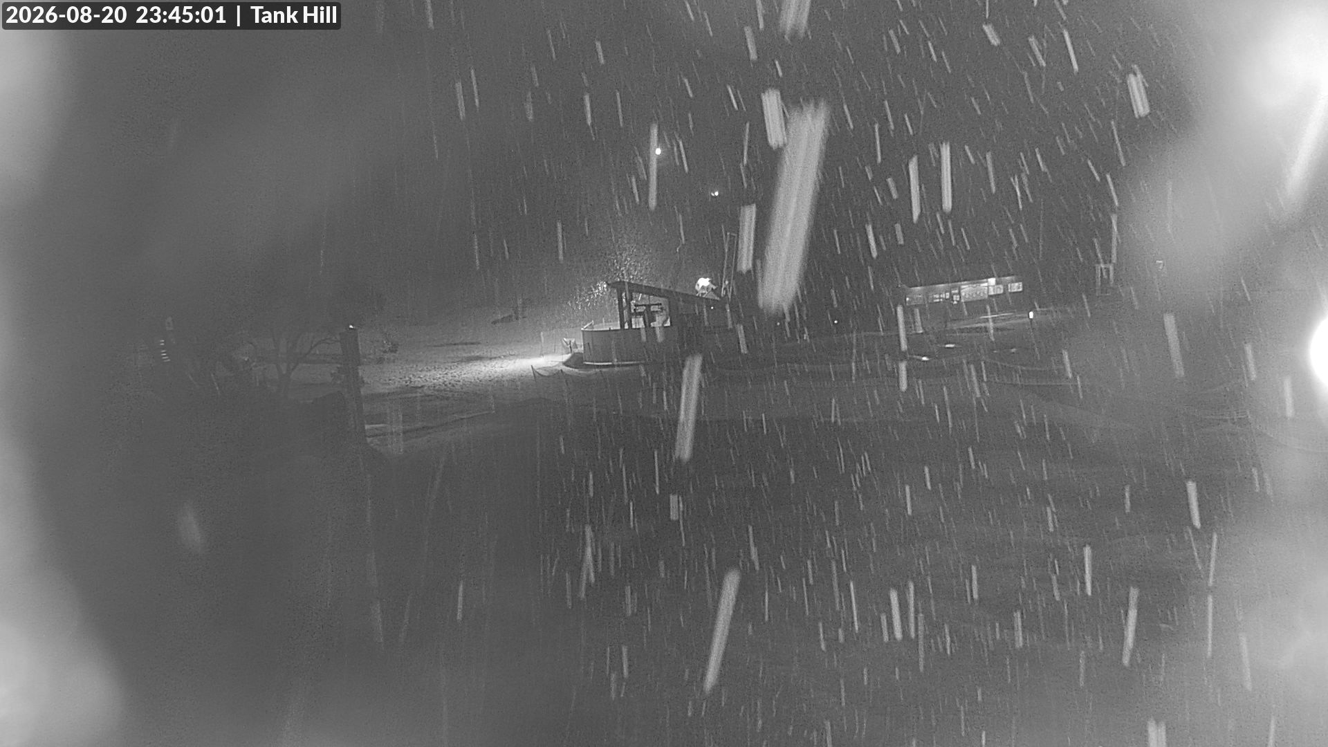 Mt Baw Baw Tank Hill snow cam captured at 20 August 2026 at 11:49 pm AEST