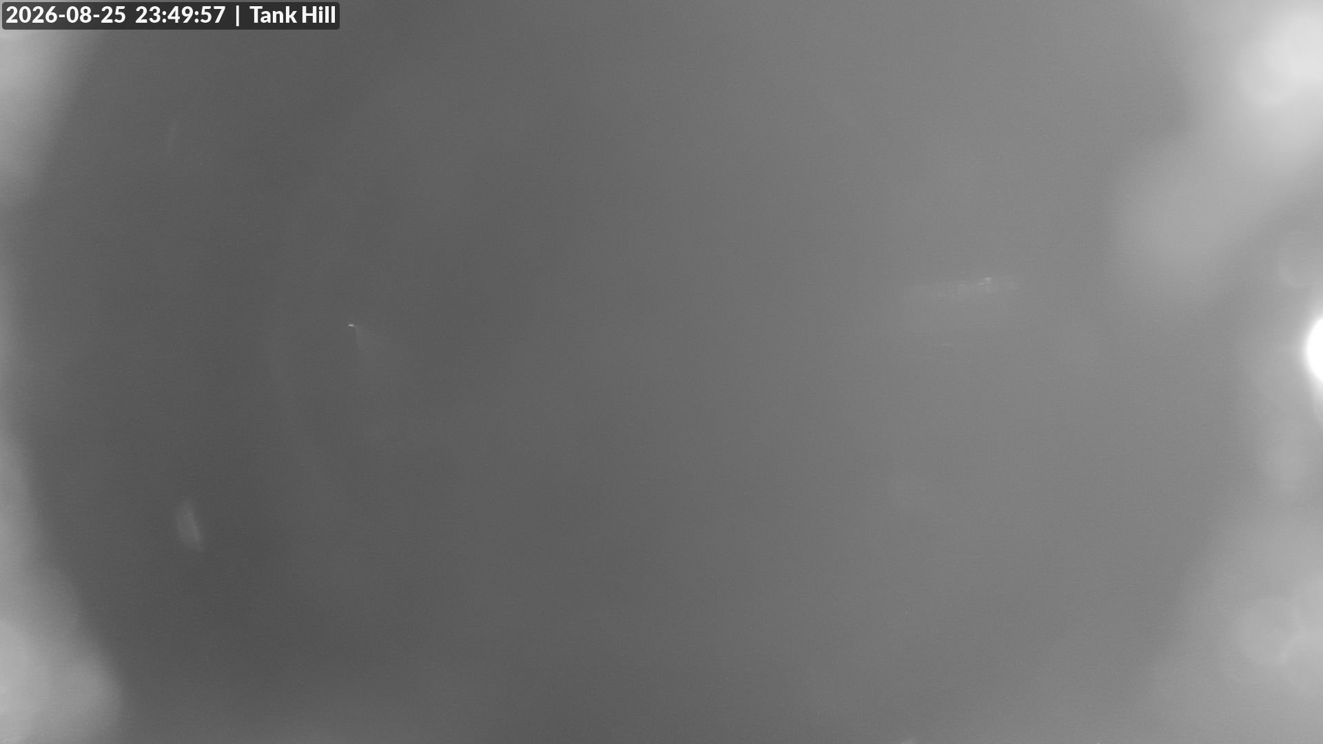Mt Baw Baw Tank Hill snow cam captured at 25 August 2026 at 11:54 pm AEST