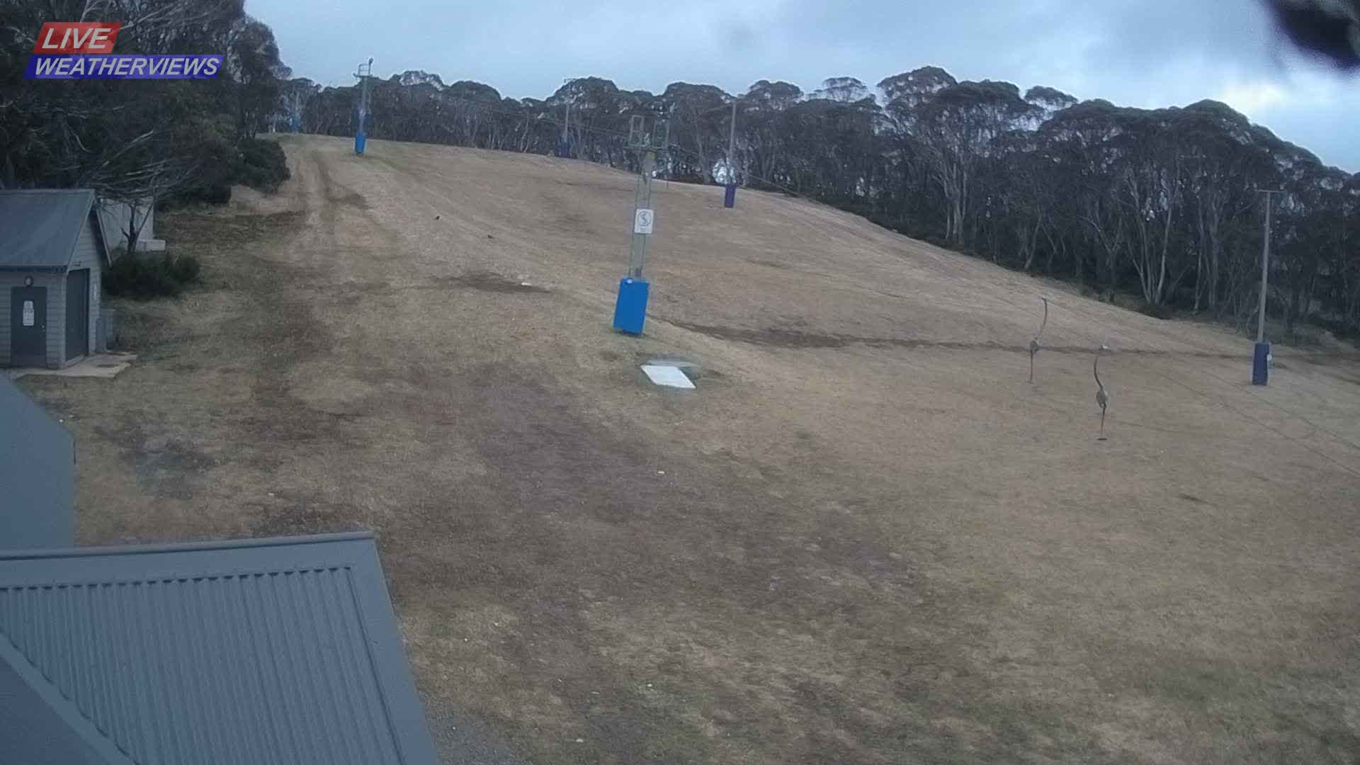 Dinner Plain Cobungra Platter snow cam captured at 3 September 2026 at 6:00 pm AEST