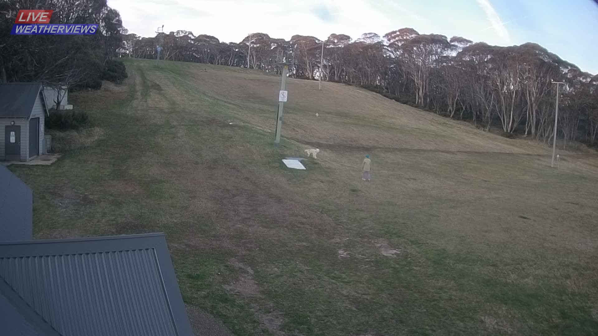 Dinner Plain Cobungra Platter snow cam captured at 23 September 2026 at 5:59 pm AEST