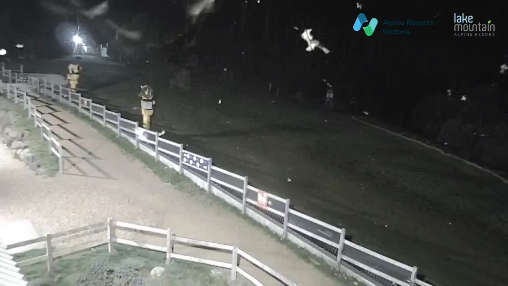 Lake Mountain Village Toboggan Run snow cam captured at 5 October 2026 at 11:58 pm AEDT