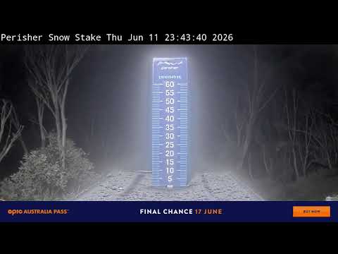 Perisher Snow Stake Live snow cam captured at 11 June 2026 at 11:56 pm AEST