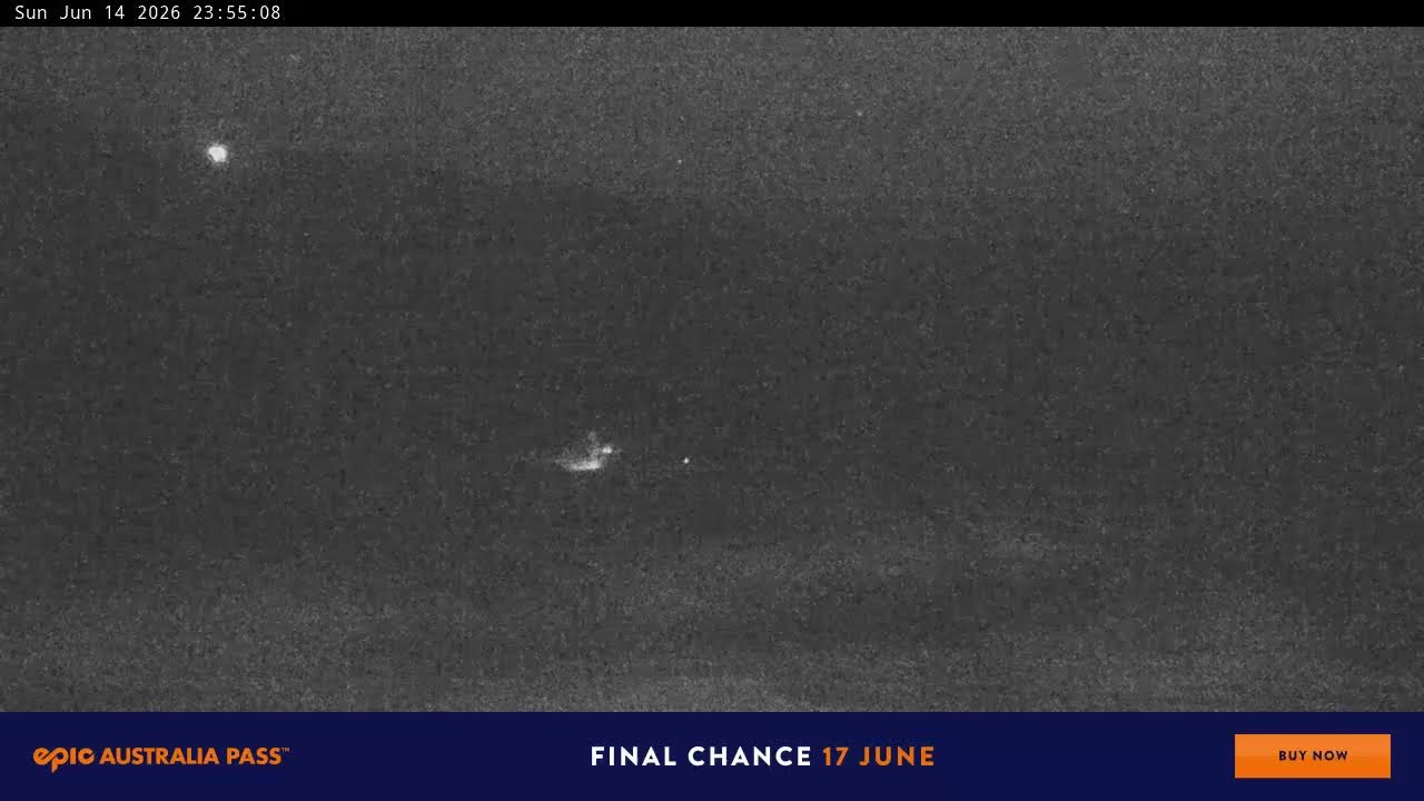 Perisher Blue Cow Live snow cam captured at 14 June 2026 at 11:56 pm AEST