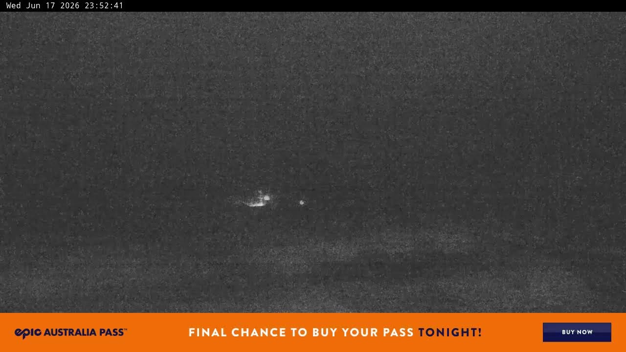 Perisher Blue Cow Live snow cam captured at 17 June 2026 at 11:55 pm AEST