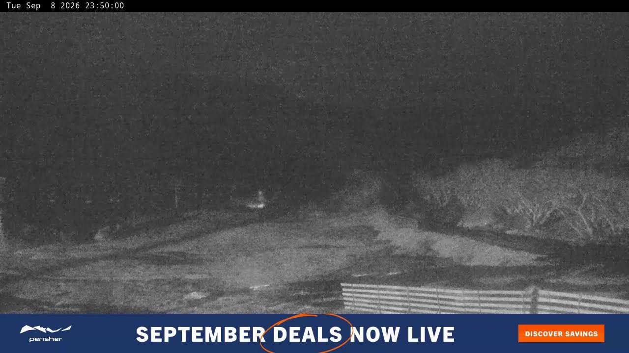 Perisher Blue Cow Live snow cam captured at 8 September 2026 at 11:54 pm AEST