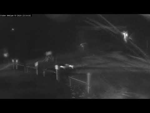 Thredbo Cruiser Area snow cam captured at 10 June 2026 at 11:56 pm AEST