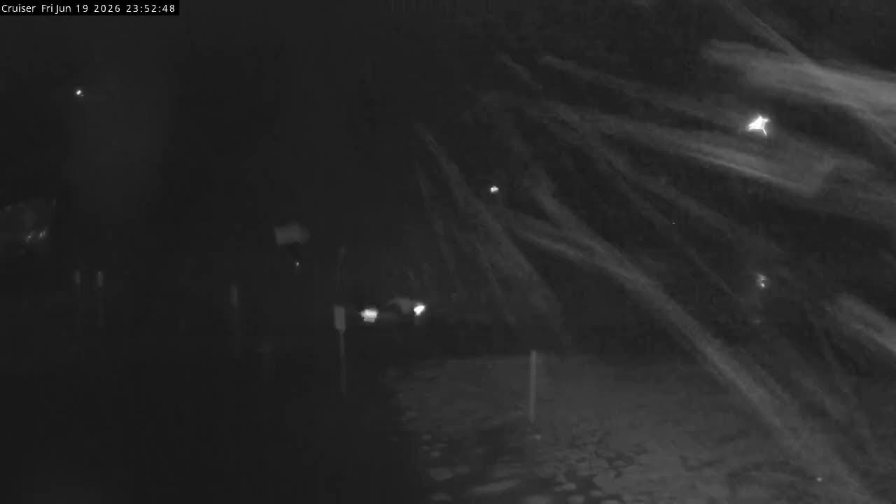 Thredbo Cruiser Area snow cam captured at 19 June 2026 at 11:55 pm AEST