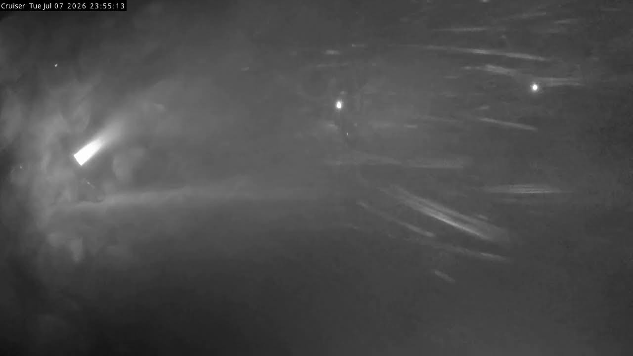 Thredbo Cruiser Area snow cam captured at 7 July 2026 at 11:58 pm AEST