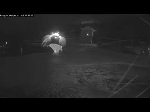 Thredbo Friday Flat Live snow cam captured at 10 June 2026 at 11:56 pm AEST