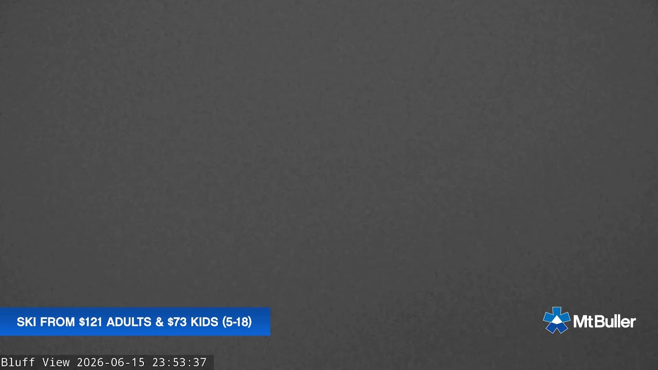 Mt Buller Skyline Live snow cam captured at 15 June 2026 at 11:54 pm AEST
