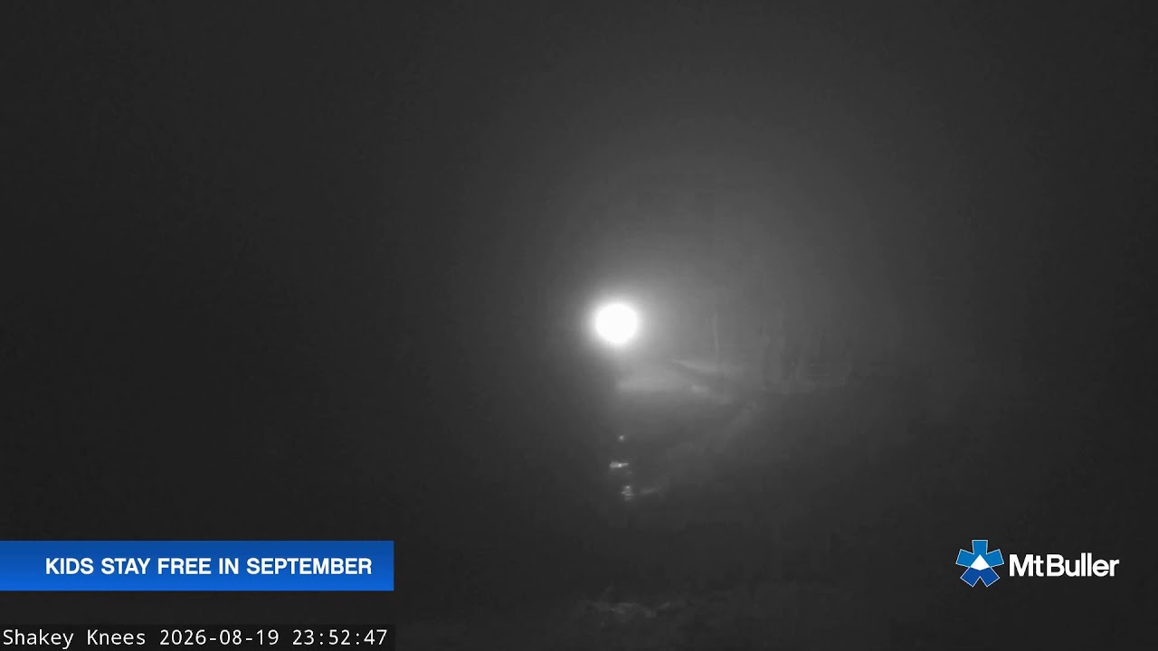 Mt Buller Shakey Knees Live snow cam captured at 19 August 2026 at 11:55 pm AEST