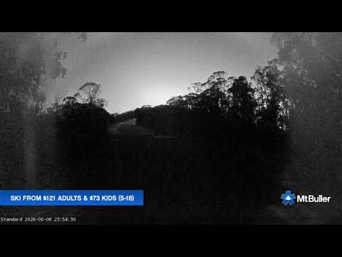 Mt Buller Standard Run Live snow cam captured at 8 June 2026 at 11:58 pm AEST