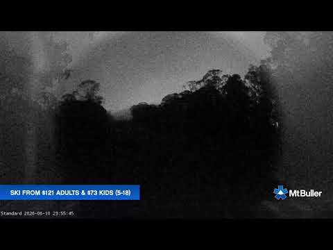 Mt Buller Standard Run Live snow cam captured at 10 June 2026 at 11:56 pm AEST
