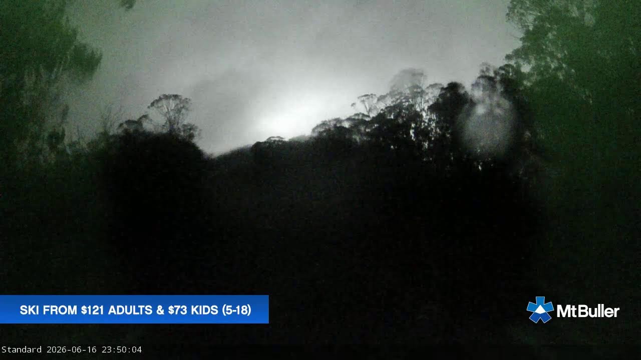 Mt Buller Standard Run Live snow cam captured at 16 June 2026 at 11:54 pm AEST