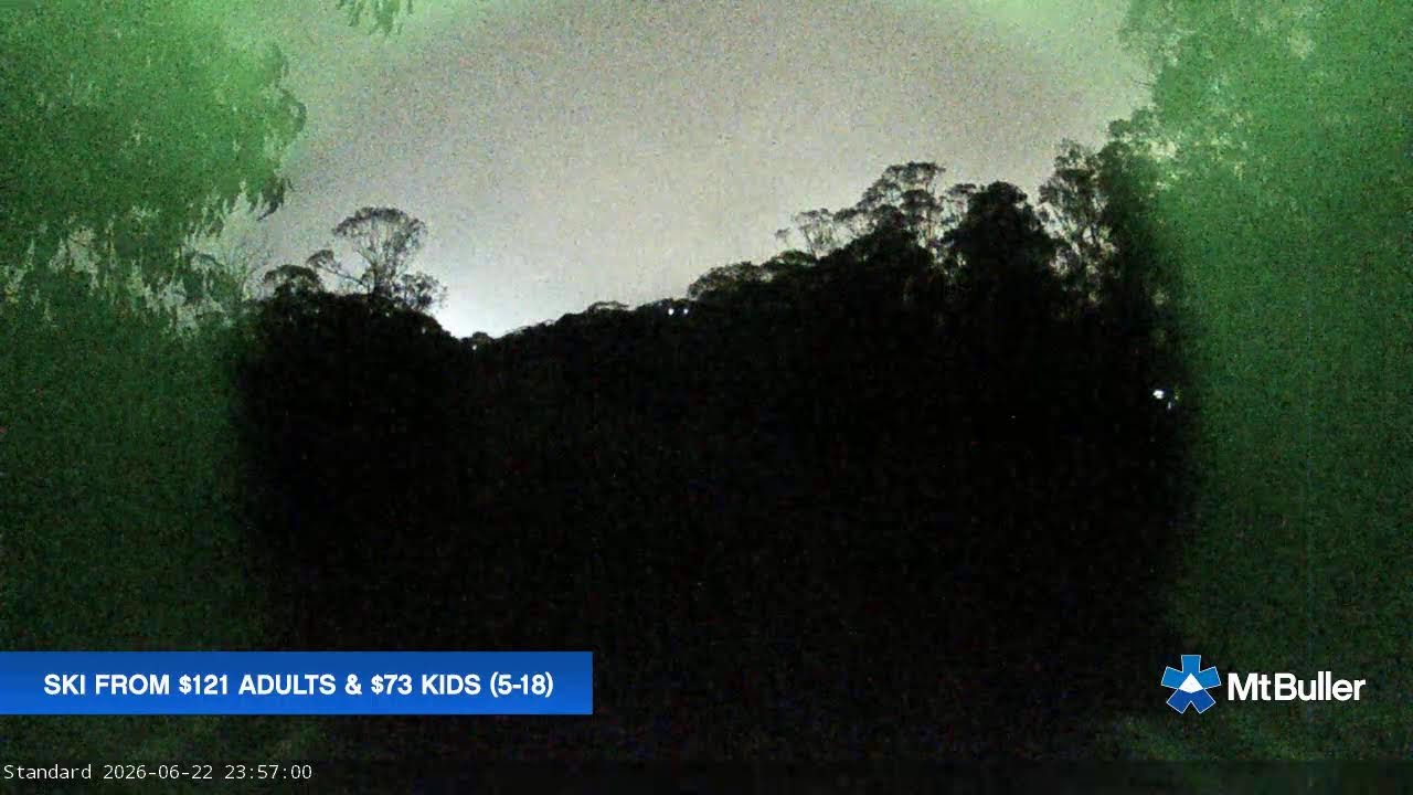 Mt Buller Standard Run Live snow cam captured at 22 June 2026 at 11:58 pm AEST