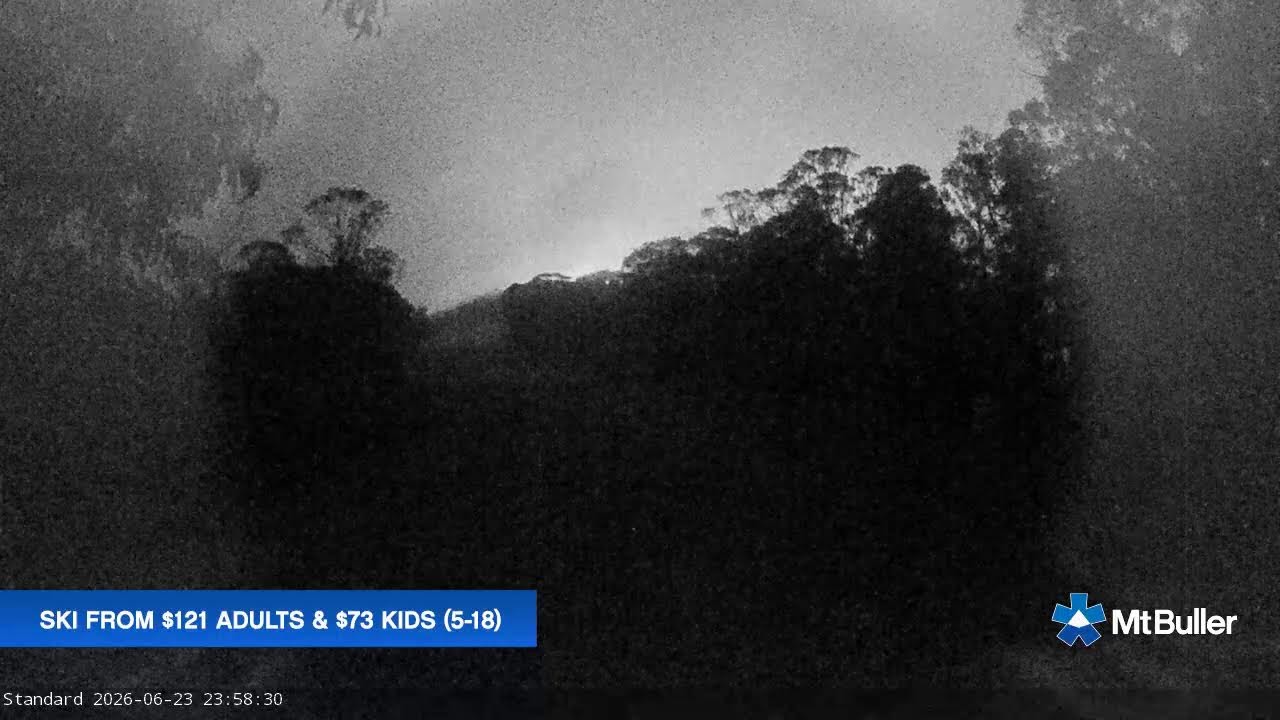 Mt Buller Standard Run Live snow cam captured at 23 June 2026 at 11:58 pm AEST