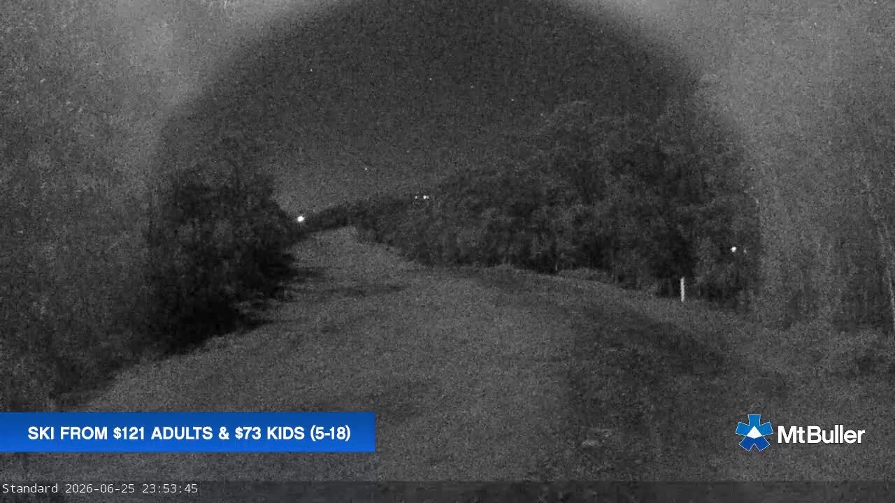 Mt Buller Standard Run Live snow cam captured at 25 June 2026 at 11:58 pm AEST
