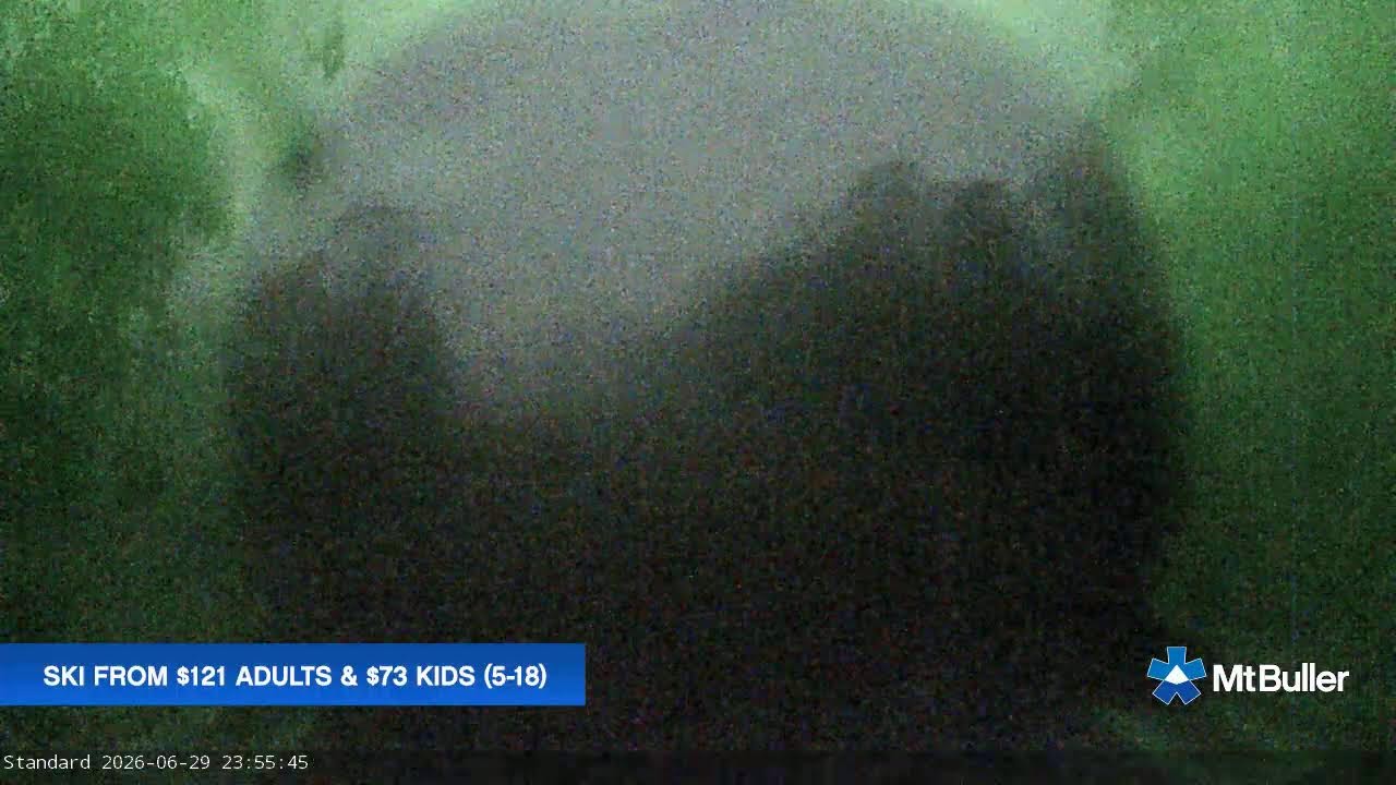 Mt Buller Standard Run Live snow cam captured at 29 June 2026 at 11:59 pm AEST