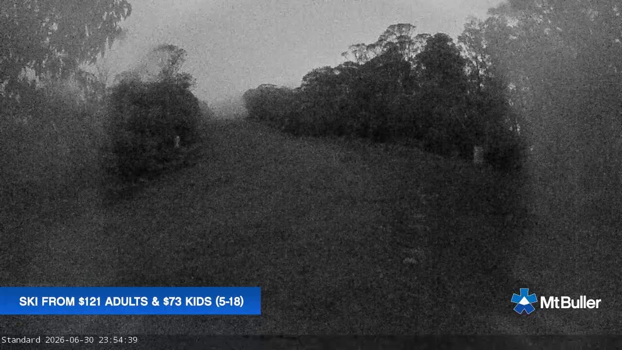 Mt Buller Standard Run Live snow cam captured at 30 June 2026 at 11:59 pm AEST