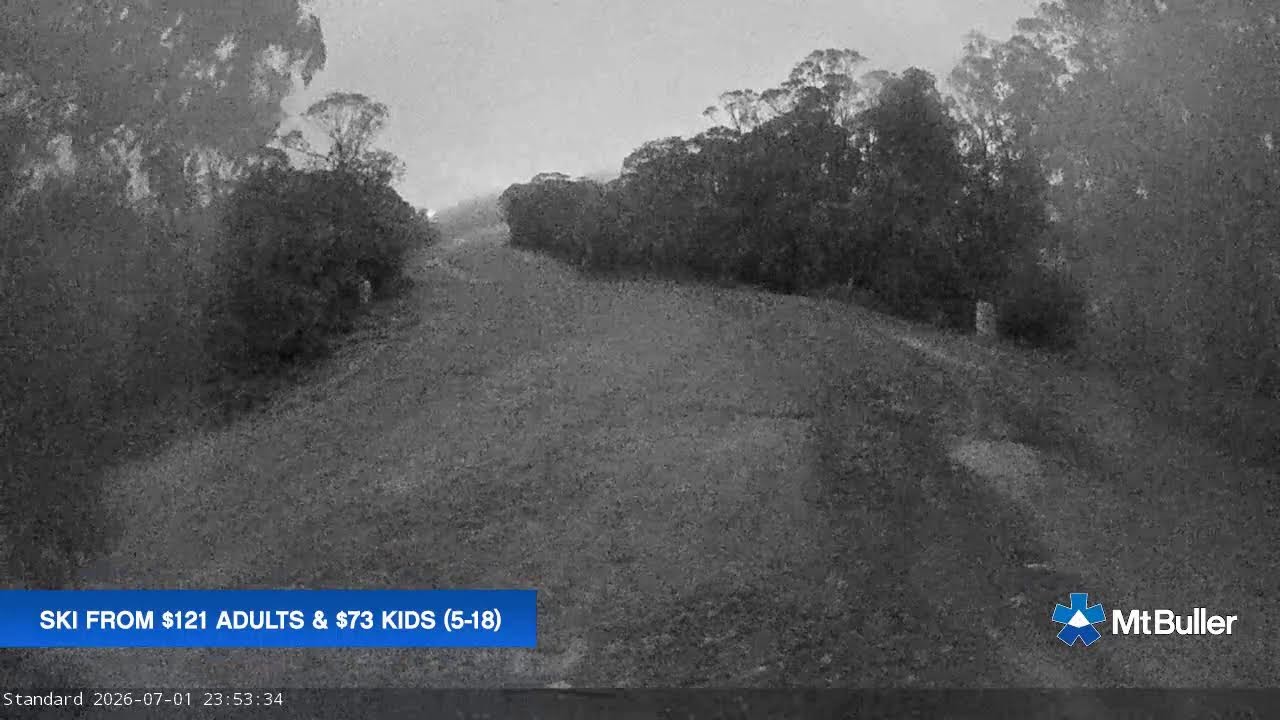 Mt Buller Standard Run Live snow cam captured at 1 July 2026 at 11:58 pm AEST